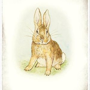 Meet your Posher, Marlaina